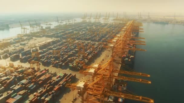 Luftaufnahme des Hafens von Jebel ali, dem verkehrsreichsten Hafen im Nahen Osten — Stockvideo