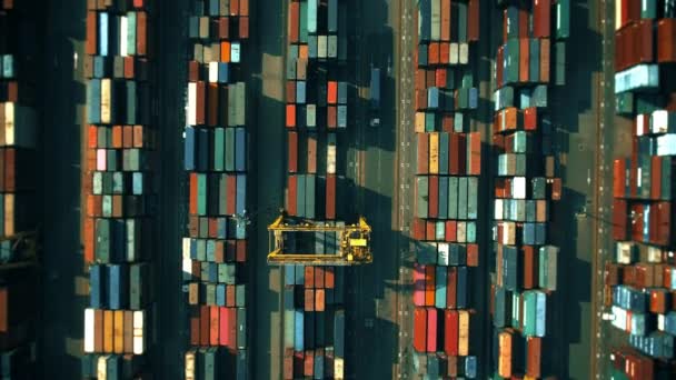 Вид сверху на большой грузовой контейнерный терминал — стоковое видео