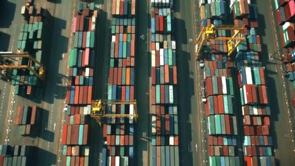 Aerial view of big cargo port in Dubai, United Arab Emirates — 비디오