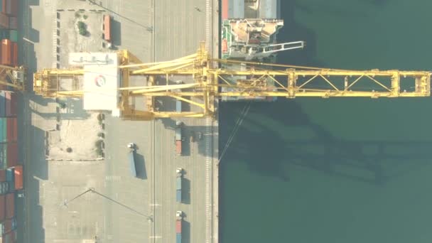 阿拉伯联合酋长国迪拜- 2019年12月29日。 港口集装箱码头起重机的空中俯视图 — 图库视频影像