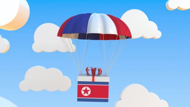 Cartón con bandera de Corea del Norte cae con un paracaídas. Animación 3D conceptual Loopable — Vídeo de stock