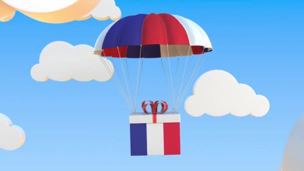 Boîte avec drapeau national de la France tombe avec un parachute. Animation 3D conceptuelle bouclable — Video