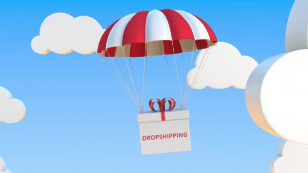 Коробка с текстом DROPSHIPPING поставляется с парашютом. Зацикленная концептуальная 3D анимация — стоковое видео
