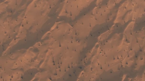 Letecký pohled na mnoho rekreačních táborů v poušti, Uae — Stock video