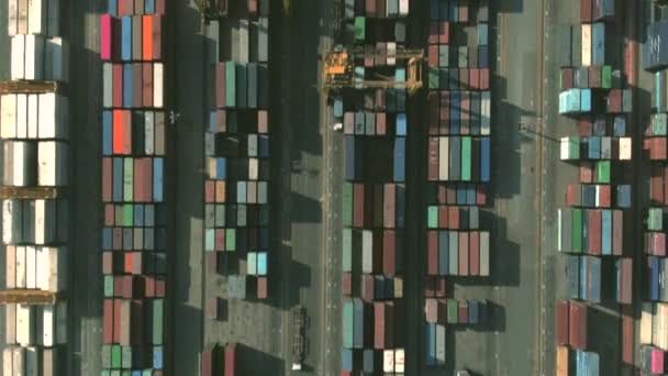 港口内一个大型集装箱码头的空中俯瞰. 产品装运、出口或进口相关夹 — 图库视频影像
