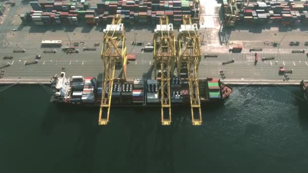 DUBAI, UNITED ARAB EMIRATES - DECEMBER 29, 2019. Aerial view of a docked container ship being loaded and unloaded at port berth — 비디오