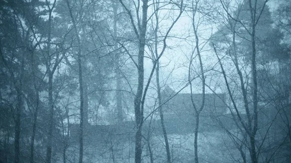 Απομονωμένη καλύβα στο δάσος σε βαριά χιονόπτωση — Φωτογραφία Αρχείου