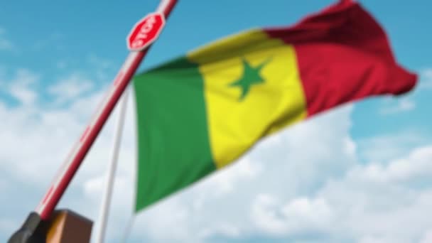 Geschlossenes Auslegertor auf dem Hintergrund der senegalesischen Flagge. Einreisebeschränkung oder bestimmtes Verbot im Senegal — Stockvideo