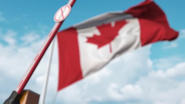 Fechando barreira boom com parar sinal de imigração contra a bandeira canadense. Fechamento de fronteiras ou proibição de imigração no Canadá — Vídeo de Stock