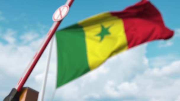 Закриті ворота буму без жодних міграційних знаків на сенегальському прапорі. Закриття кордону або заборона імміграції в Сенегалі — стокове відео