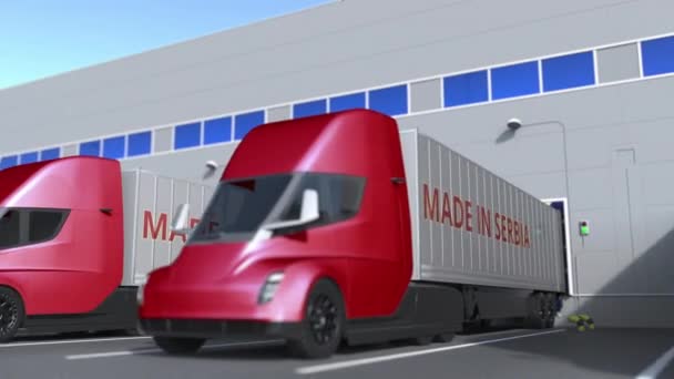 Modern semi-trailer trucks with MADE IN SERBIA text being loaded or unloaded at warehouse. Serbian business related loopable 3D animation — Stock Video