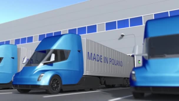 Modern semi-trailer trucks with MADE IN POLAND text being loaded or unloaded at warehouse. Polish business related loopable 3D animation — Stock Video