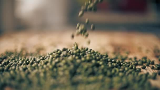 Grüne Linsen auf Holztisch gießen, Nahaufnahme in Zeitlupe — Stockvideo