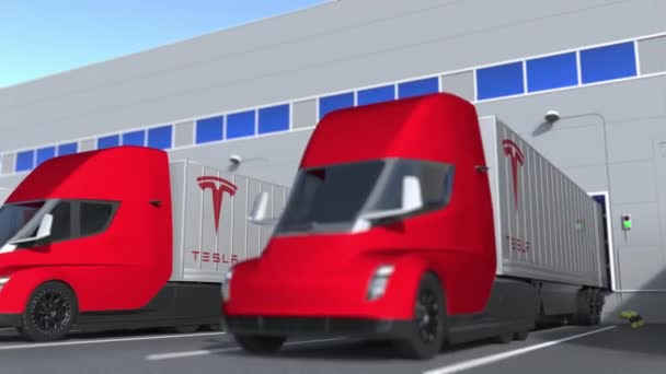 Caminhões semi-reboques elétricos modernos com o logotipo Tesla sendo carregado ou descarregado no armazém. Logística relacionados loopable animação 3D — Vídeo de Stock