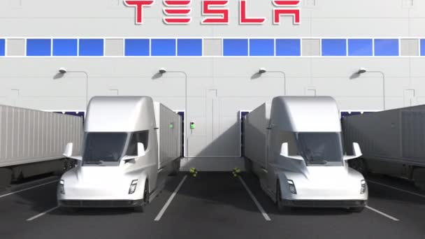 Camiones semirremolques eléctricos en la bahía de carga del almacén con el logotipo de TESLA en la pared. Animación Editorial 3D — Vídeo de stock