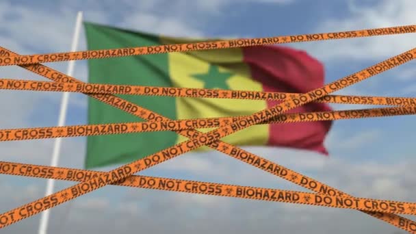 Auf dem Hintergrund der senegalesischen Flagge keine Biohazard-Klebebänder überschreiten. Einreiseverbot oder Quarantäne im Senegal. Konzeptionelle 3D-Looping-Animation — Stockvideo