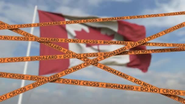 Linhas de fita de restrição de risco biológico contra a bandeira canadense. Entrada restrita ou quarentena no Canadá. Conceptual looping animação 3D — Vídeo de Stock