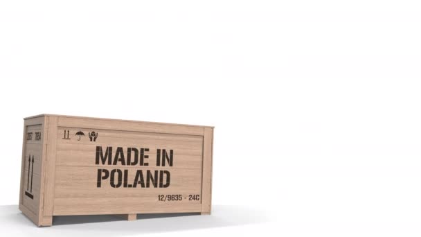 Große Holzkiste mit MADE IN POLAND Text isoliert auf hellem Hintergrund. Polnische industrielle Produktion bezogene 3D-Animation — Stockvideo