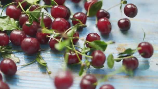 Red cherries fall on blue wooden table, slow motion shot — Stock Video