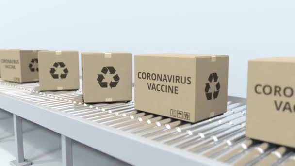 CORONAVIRUS VACCINEテキスト付きのボックスは、ローラーコンベアに沿って移動します。3Dアニメーションのループ — ストック動画