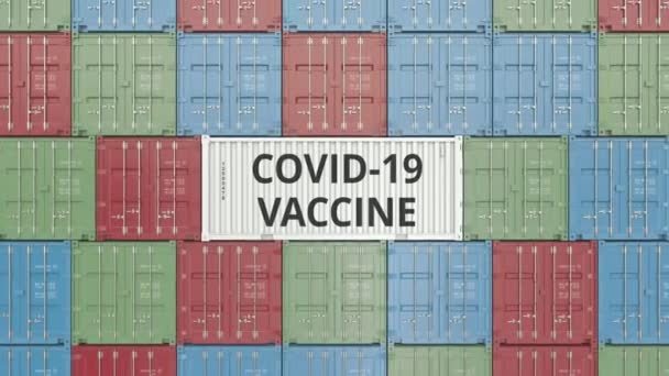 Cargo container with COVID-19 coronavirus disease vaccine in container terminal, 3D animation — Stock Video