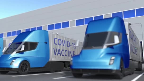COVID-19コロナウイルス病ワクチンは倉庫のセミトレーラートラックに搭載されています。3Dアニメーションのループ — ストック動画