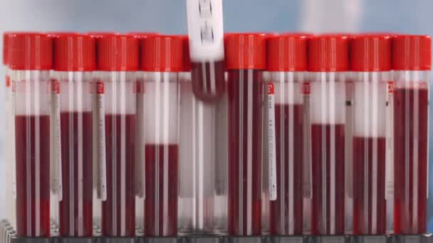 Mão usando luva de proteção coloca frasco com teste de coronavírus negativo no rack de tubo — Vídeo de Stock