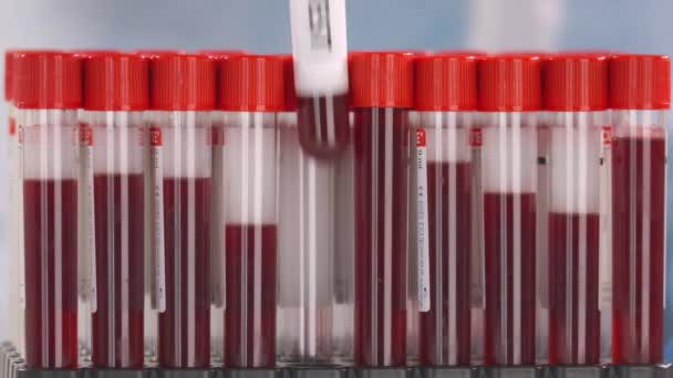 Laboratoriummedewerker draagt beschermingshandschoen zet laboratoriumbuis met bof test in het buizenrek — Stockvideo