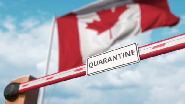 Открытие барьера с надписью QUARANTINE против канадского флага. В Канаде закончился локаут — стоковое видео