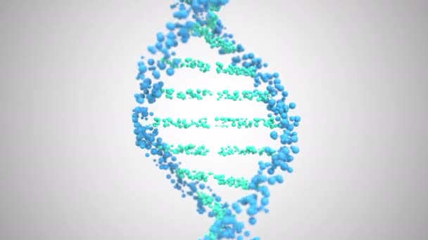 DNA helix model, loopable 3D animatie — Stockvideo