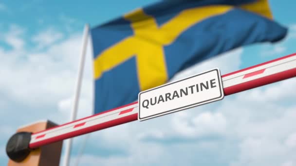 Открытие барьера с надписью QUARANTINE против шведского флага. Неограниченный въезд в Швецию — стоковое видео
