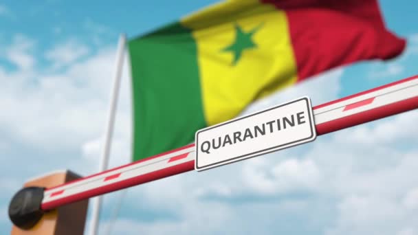 Abra o portão boom com sinal QUARANTINE no fundo da bandeira senegalesa. Fim de bloqueio no Senegal — Vídeo de Stock