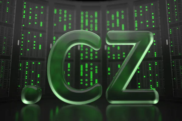 Tsjechisch domein .cz op server room achtergrond. Internet in de Tsjechische Republiek gerelateerde conceptuele 3D rendering — Stockfoto