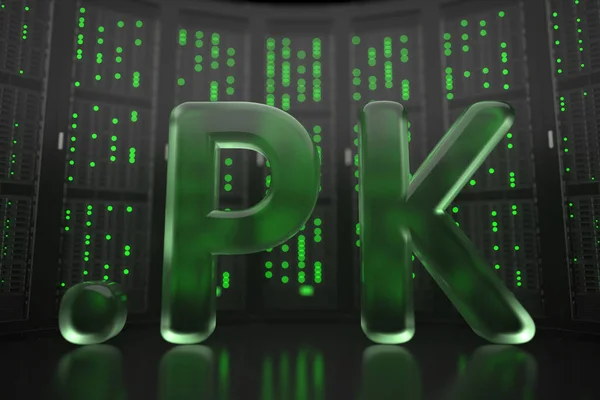 Pakistanische Domain .pk auf Serverraum Hintergrund. Internet in Pakistan im Zusammenhang mit konzeptioneller 3D-Darstellung — Stockfoto
