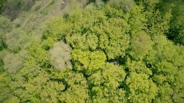 Overhead aerial shot of a forest and a swamp reflecting cloudy sky — Stock Video