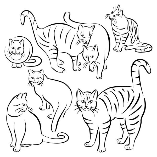 Diseños de línea de gato _ Set 2 — Vector de stock