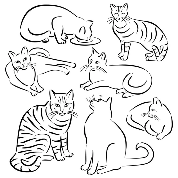 Disegni _ linea gatto Set 3 — Vettoriale Stock