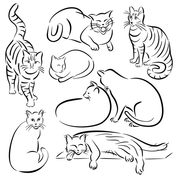Cat Line Designs_Set 1 — Stock Vector