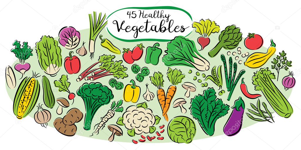 Vector collection of over 45 doodle style vegetables .