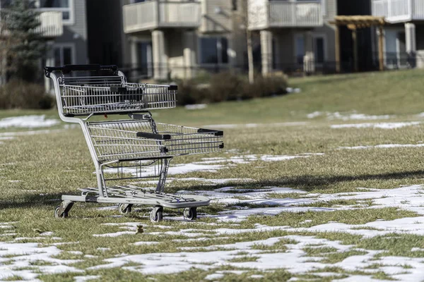 Shopping Cart abandoned in park