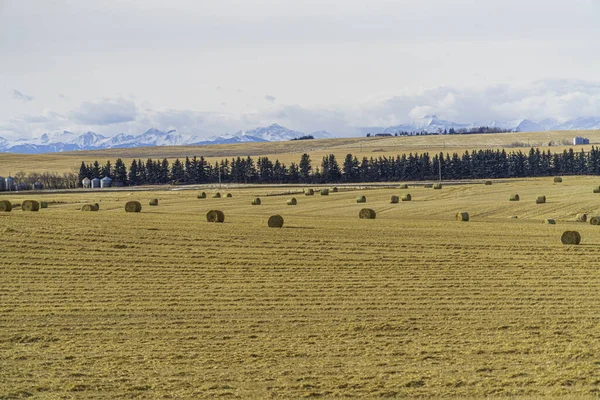 Fardos de heno en un campo agrícola con las montañas rocosas en el fondo —  Fotos de Stock