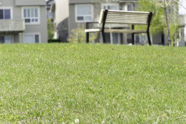 Banliyö yerleşim bölgesindeki ortak park