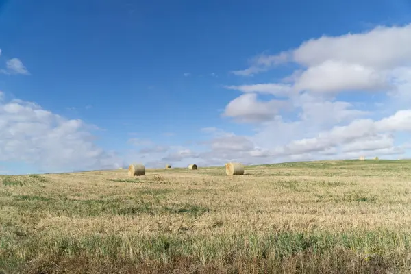 Fardos de heno en el campo de la granja con fondo cielo nublado —  Fotos de Stock