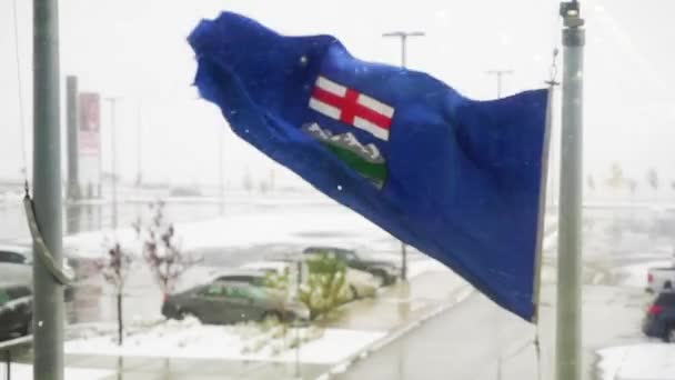 Flaga prowincji Alberta powiewająca na zewnątrz podczas burzy śnieżnej — Wideo stockowe