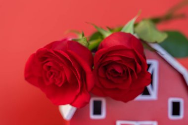 Sevgililer Günü konsepti - önünde gül çiçekleri olan ev