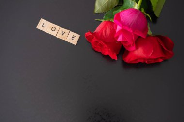 Valantines Günü için taze kesilmiş güller - Siyah arka planda romantik kavram