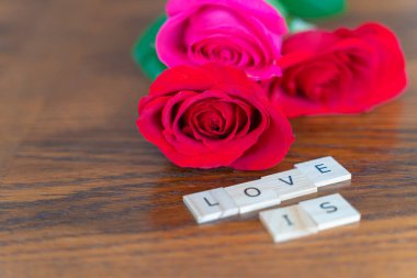 Valantines Günü için taze kesilmiş güller - Ahşap arka planda romantik kavram