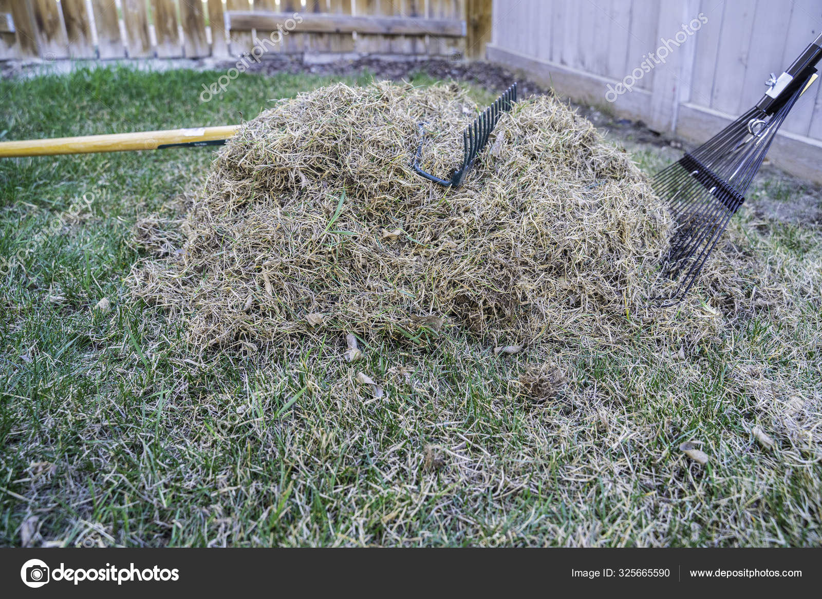 garden lawn rake