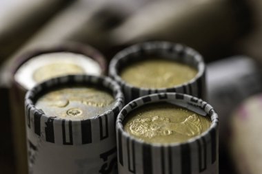 Kolay saymayı sağlamak için paketlenmiş Kanada Doları Paraları