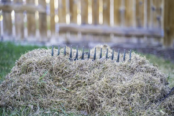 Rastrillo de jardín y pila de hierba muerta del césped después del invierno — Foto de Stock